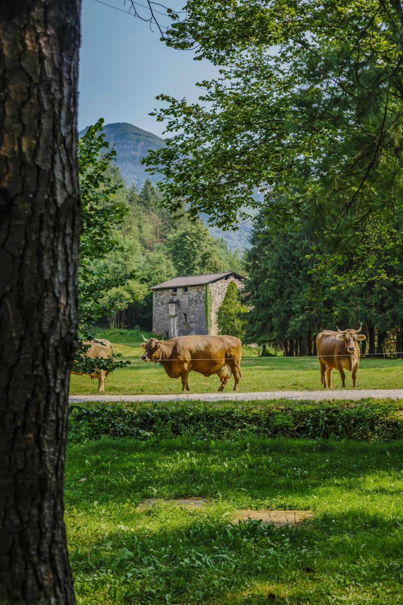 Lenna Agriturismo Ferdy 빌라 외부 사진